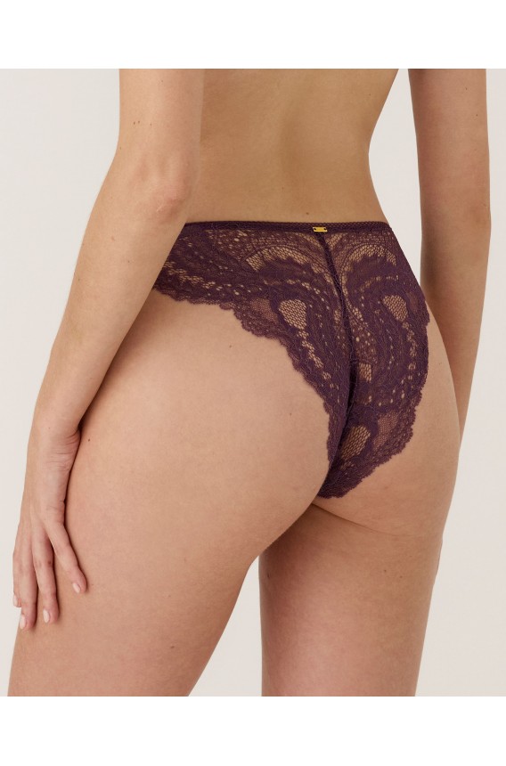 BRAZILIAN BRIEF
